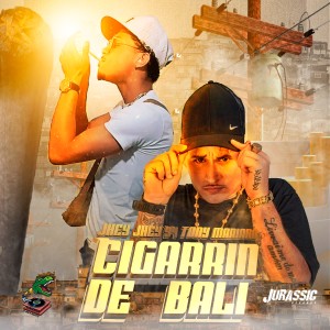 Listen to Cigarrin de Bali (Explicit) song with lyrics from Jhey Jhey 94