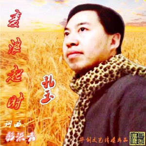 Album 麦浪起时 from 彭洪青