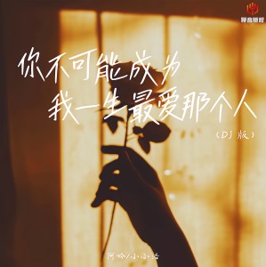 Listen to 你不可能成为我一生最爱那个人 (DJ豪大大版) song with lyrics from 阿吟