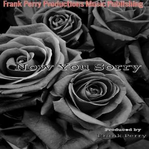 ดาวน์โหลดและฟังเพลง Now You Sorry พร้อมเนื้อเพลงจาก Frank Perry