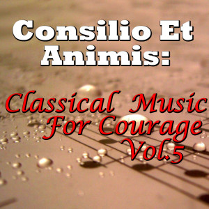 Novosibirsk Philharmonic Orchestra的专辑Consilio Et Animis: Classical Music For Courage, Vol.5