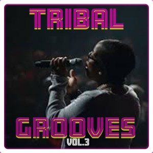 Abdull D的专辑Tribal Grooves Vol. 3