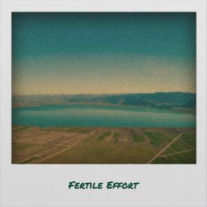 收聽Juliee的Fertile Effort歌詞歌曲