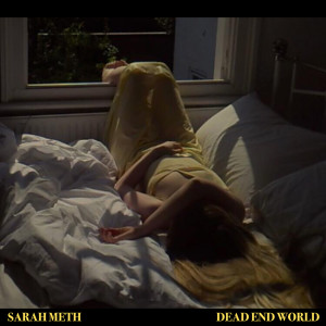 ดาวน์โหลดและฟังเพลง Dead End World พร้อมเนื้อเพลงจาก Sarah Meth