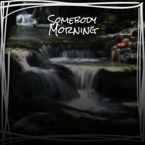 Listen to Somebody Morning song with lyrics from Rova Duyck