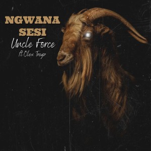 收聽Uncle Force的Ngwana Sesi歌詞歌曲