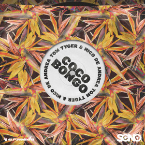 Album Coco Bongo from Tom Tyger