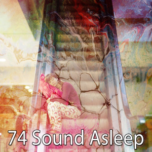ดาวน์โหลดและฟังเพลง Insomniacs Remedy พร้อมเนื้อเพลงจาก Musica para Dormir Dream House