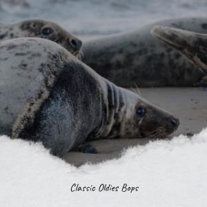 Dengarkan Perambulator Motorcycle lagu dari Lancer Mael dengan lirik