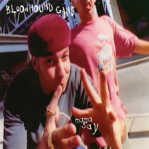 收聽Bloodhound Gang的Mama Say (Hip Hop Mix) (Devil's Food Cake Mix|Explicit)歌詞歌曲