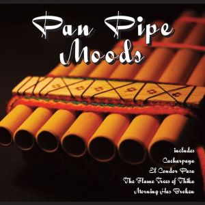 Dengarkan Endeless Love lagu dari Pan Pipes dengan lirik