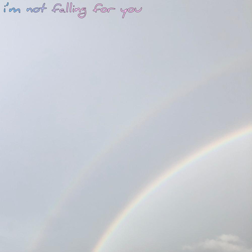 i'm not falling for you (Explicit)