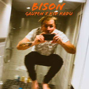 Album Bison (Explicit) from 