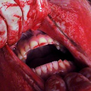 ดาวน์โหลดและฟังเพลง Soulock พร้อมเนื้อเพลงจาก THE FURNACE