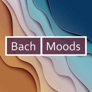 Johann Sebastian Bach的專輯Bach - Moods