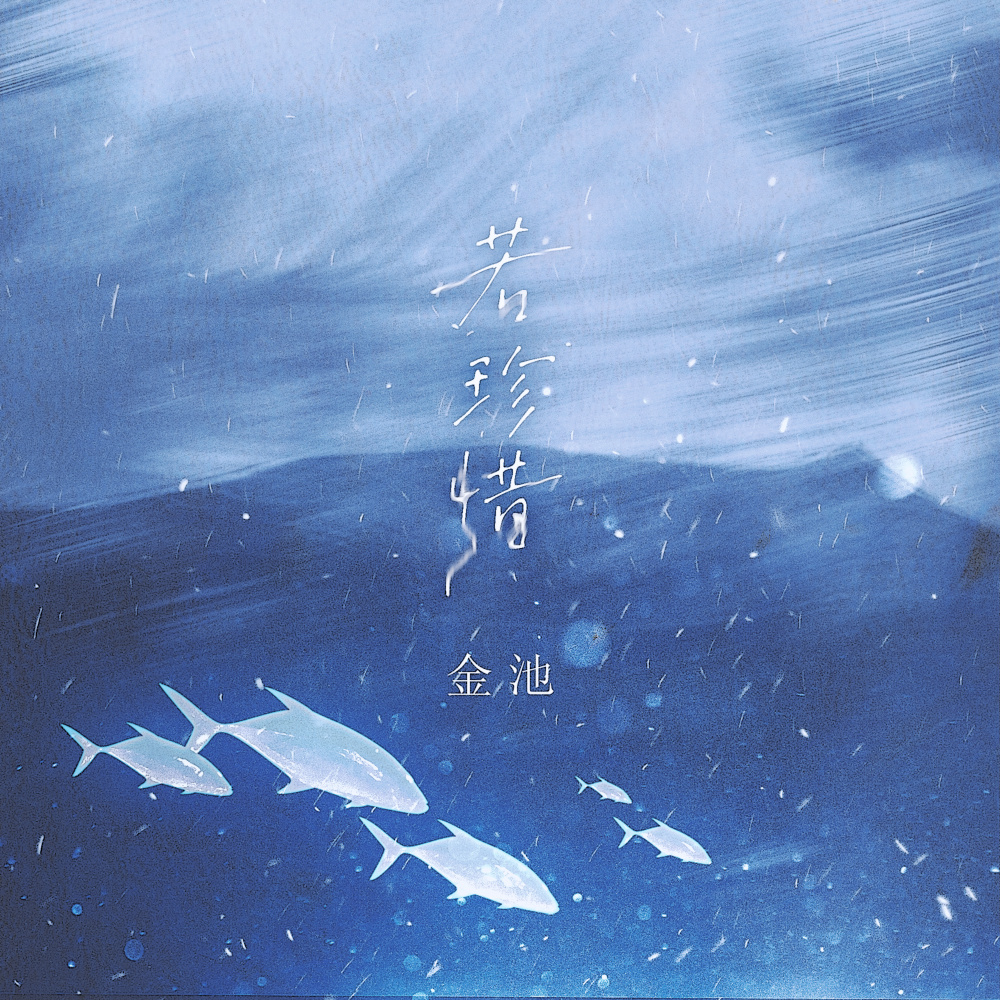 若珍惜 (伴奏)