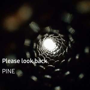Album Please Look Back from Pine