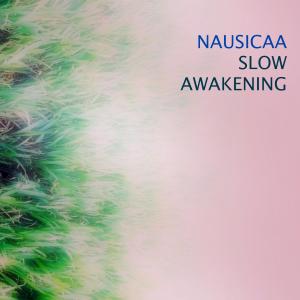 Listen to Slow awakening song with lyrics from Nausicaa