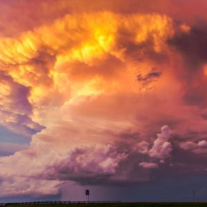 Listen to Raining in the Calm song with lyrics from Rain Sounds