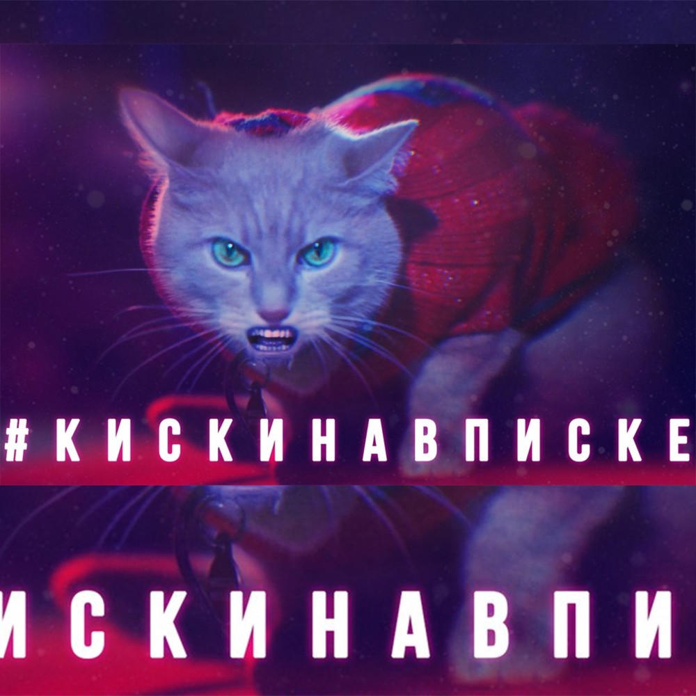 Киски На Вписке