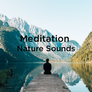 收聽Nature Sounds的Relaxing Nature Sounds歌詞歌曲