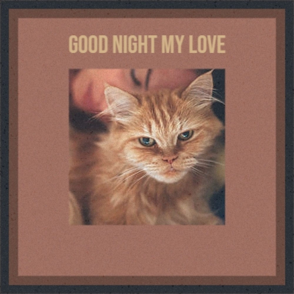 Good Night My Love