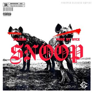 Saleem的專輯Snoop (Explicit)