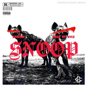 อัลบัม Snoop (Explicit) ศิลปิน Saleem