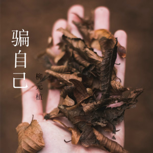 收聽柳元植的騙自己歌詞歌曲