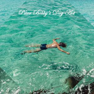 收聽Peter Bibby的Oceans (Explicit)歌詞歌曲