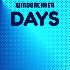 Album Windbreaker Days oleh Various