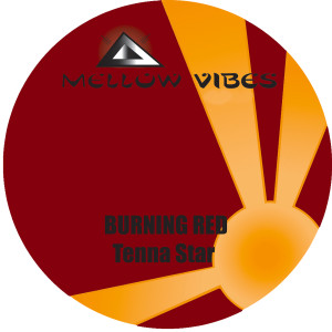Listen to Burning Dub song with lyrics from Tenna Star