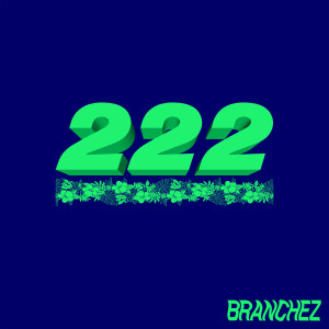 Listen to IDRK song with lyrics from Branchez