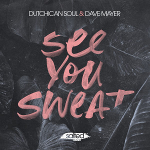อัลบัม See You Sweat ศิลปิน Dave Mayer