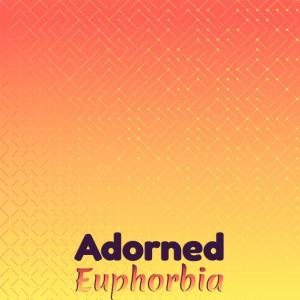 Various Artists的專輯Adorned Euphorbia
