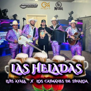 Los Caimanes De Sinaloa的專輯Las Heladas
