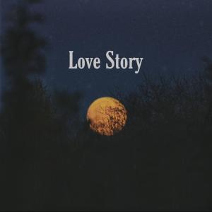 ดาวน์โหลดและฟังเพลง Love Story พร้อมเนื้อเพลงจาก Sarah Cothran