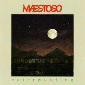 ดาวน์โหลดและฟังเพลง Closure พร้อมเนื้อเพลงจาก Woolly Wolstenholme