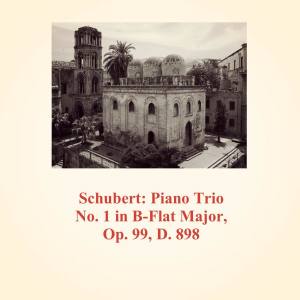 Album Schubert: Piano Trio No.1 in B-Flat Major, Op. 99, D. 898 from David Oistrakh