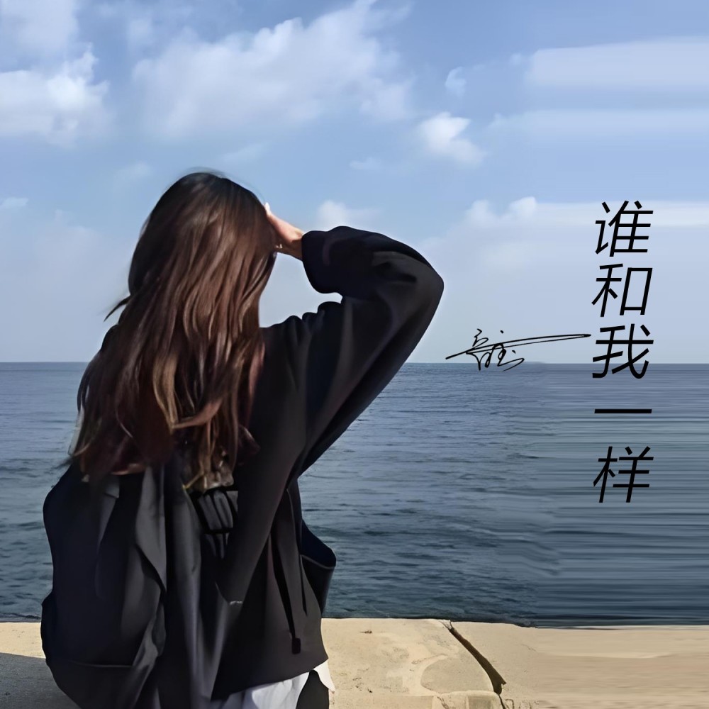 再难也不对谁讲（谁和我一样） (伴奏)