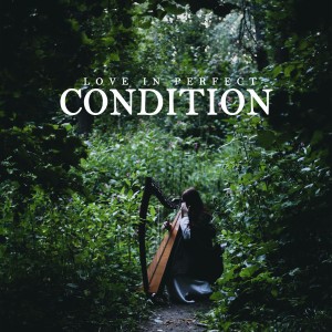 Maree Docia的專輯Love In Perfect Condition