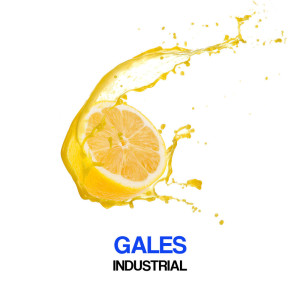 Industrial dari Gales