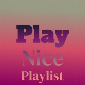 Album Play Nice Playlist from Various Artists