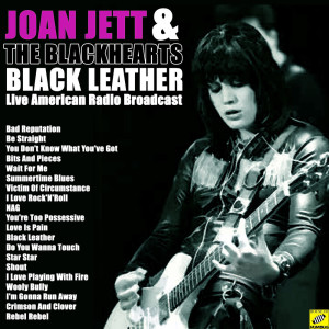 Dengarkan lagu Shout (Live) nyanyian Joan Jett & The Blackhearts dengan lirik