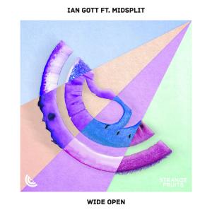 Listen to Wide Open(feat. Midsplit) song with lyrics from Ian Gott