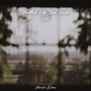 Album Another Life She Said from C37