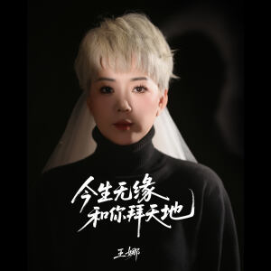 Album 今生无缘和你拜天地 from 王娜