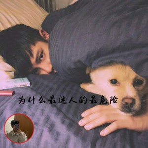 Listen to 为什么最迷人的最危险 (DJ热播) song with lyrics from 苏亦辰