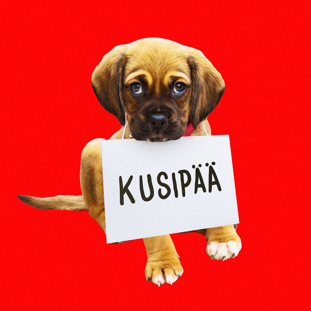 Kusipää (Explicit)