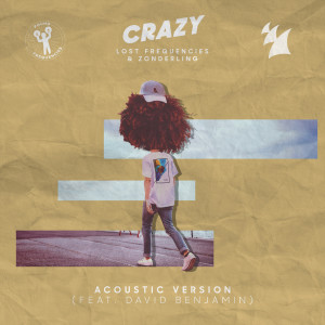 收聽Lost Frequencies的Crazy (Acoustic Version)歌詞歌曲